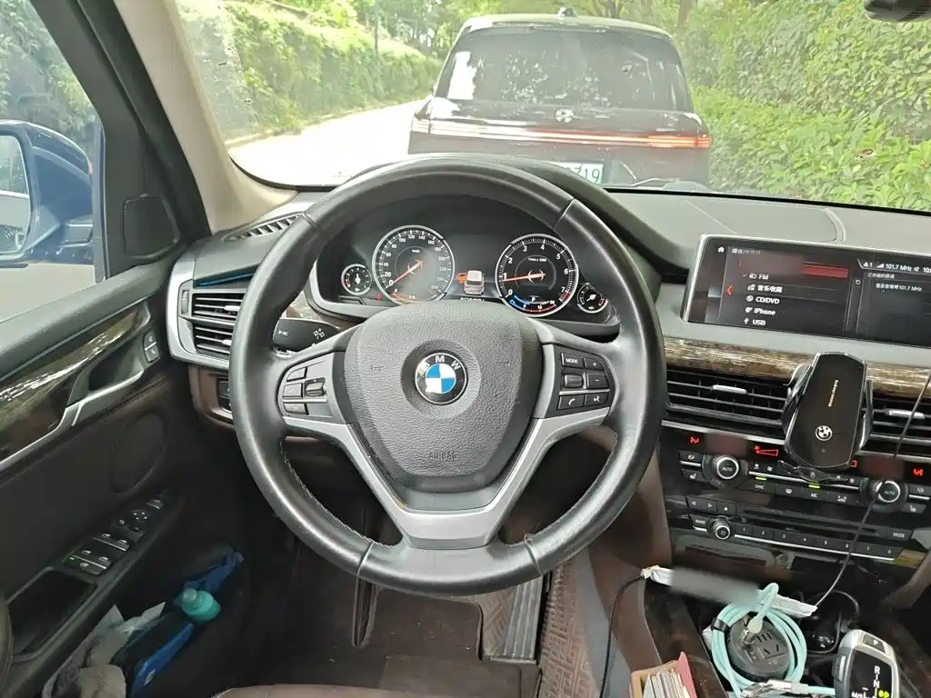 BMW X5 (Import) — миниатюра 11