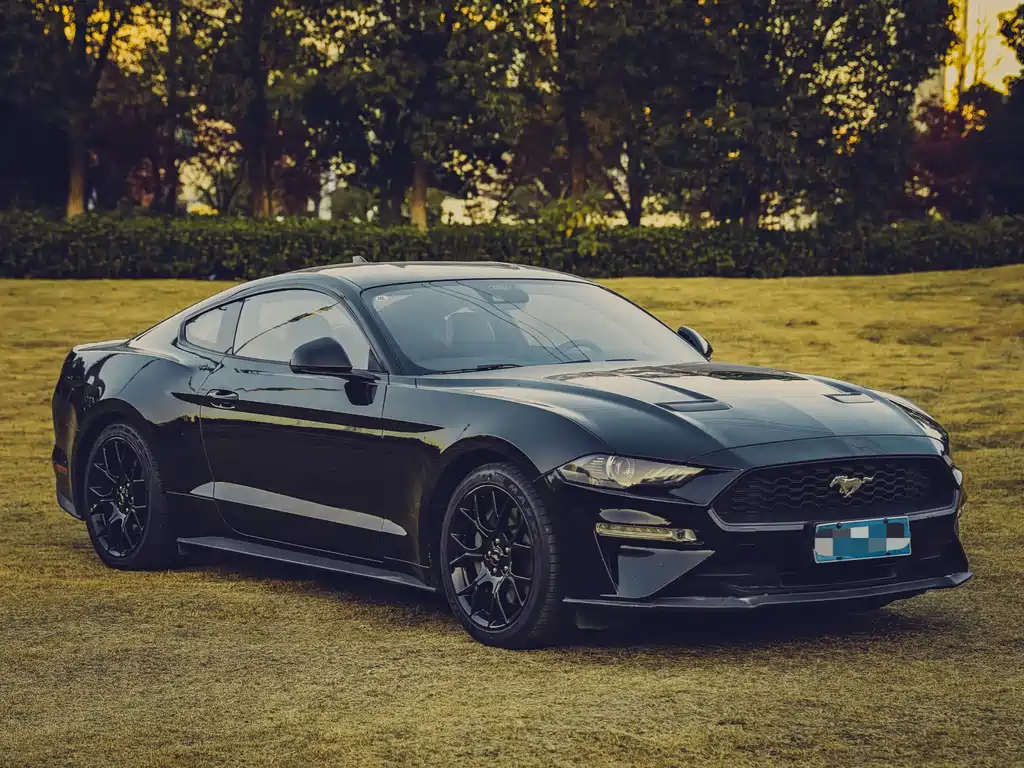 FORD MUSTANG