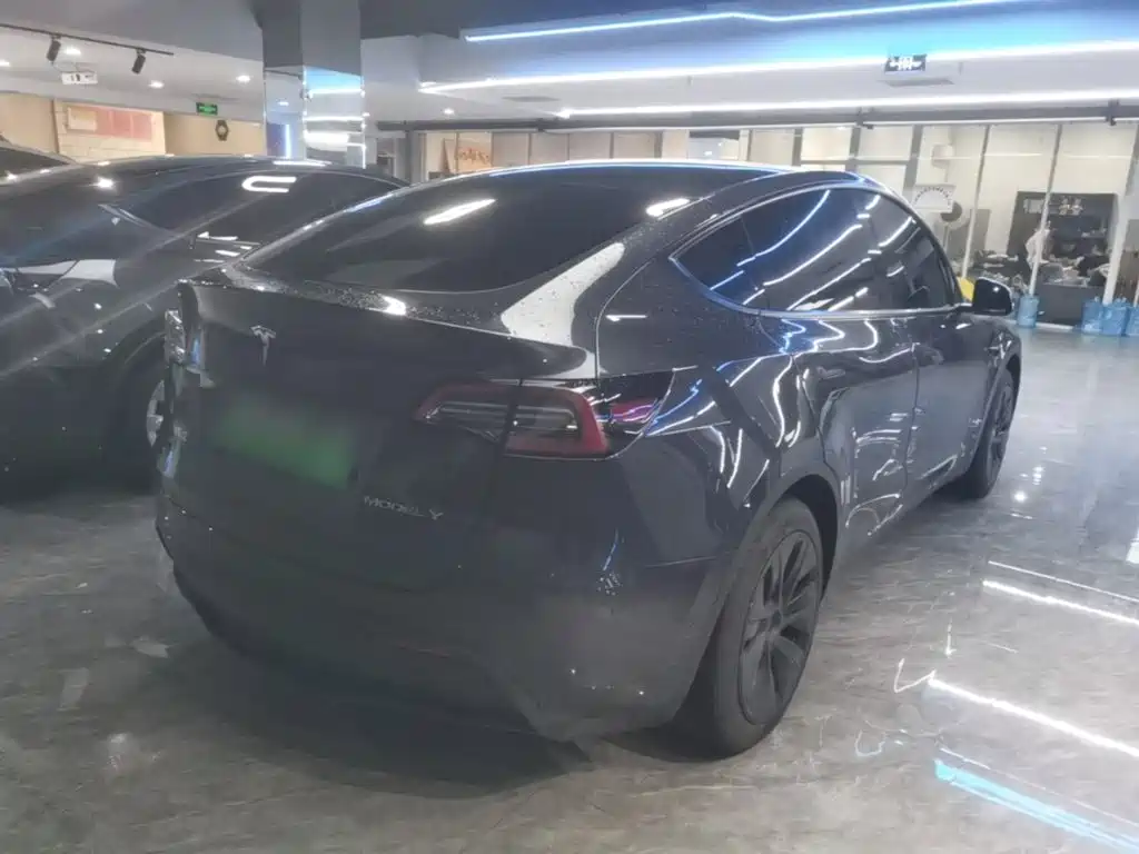 Tesla Model Y — миниатюра 7