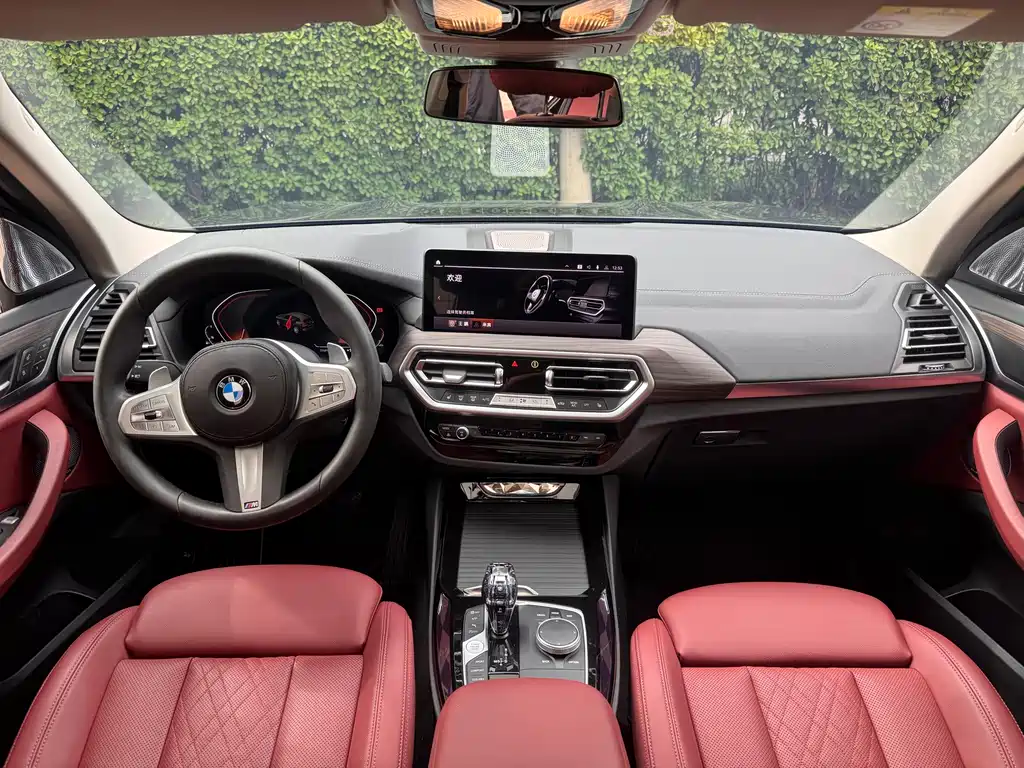 BMW X3 — миниатюра 10