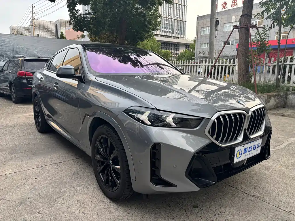 BMW X6 2023 xDrive30i M Sport