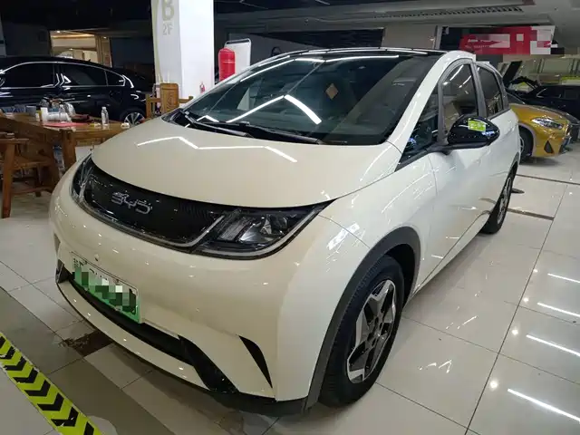 BYD DOLPHIN