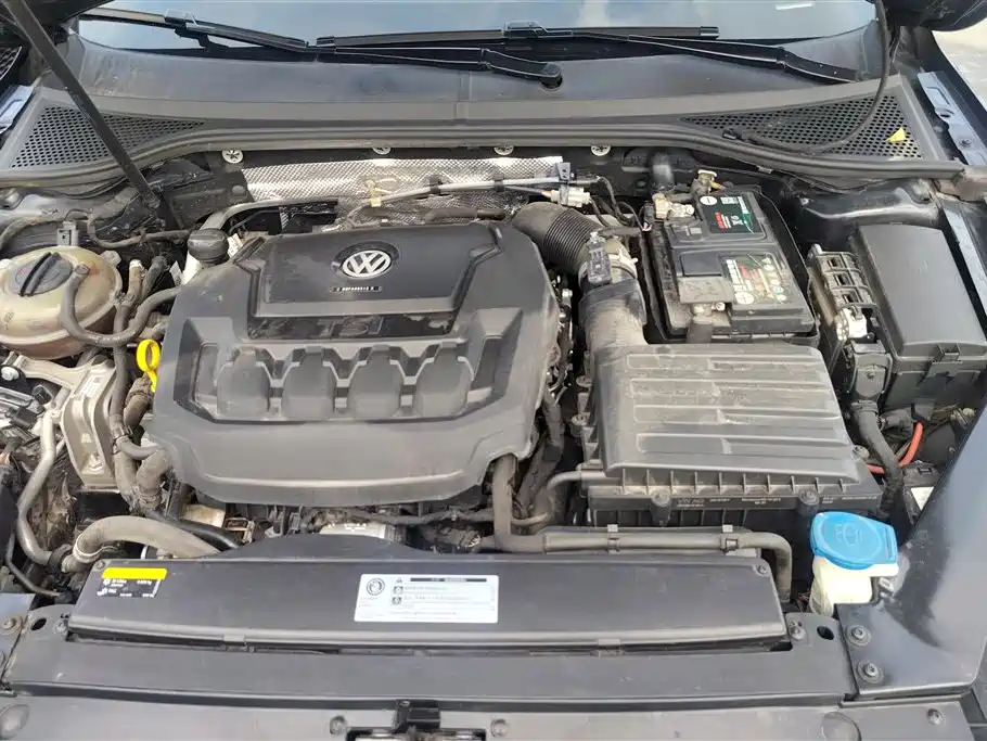 Volkswagen Magotan 2019 330TSI DSG Lead V