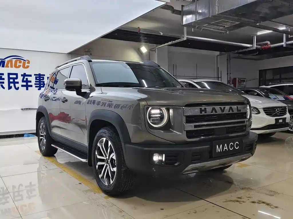 HAVAL BIG DOG
