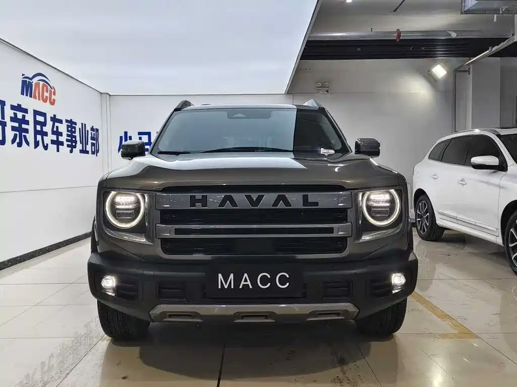 HAVAL BIG DOG