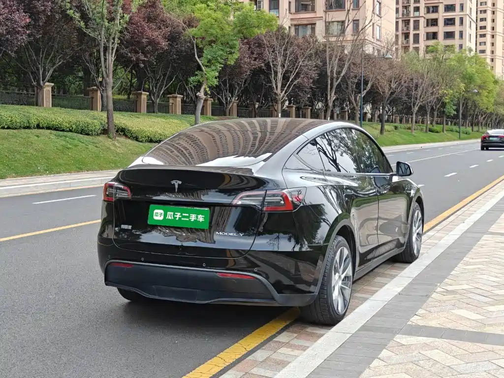 Tesla Model Y — миниатюра 7