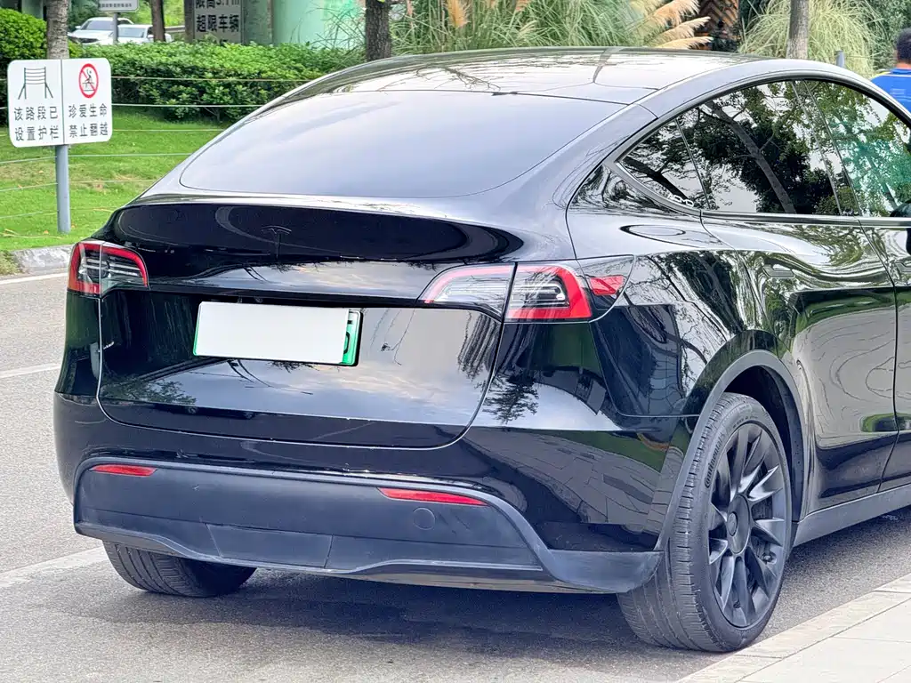 Tesla Model Y — миниатюра 6