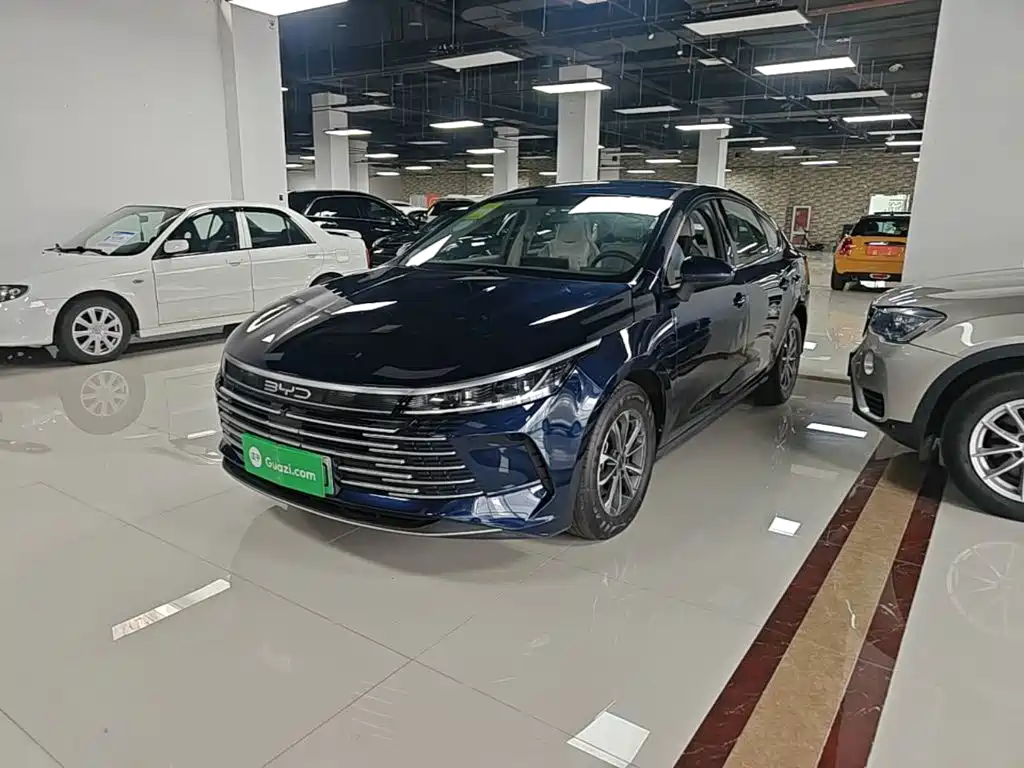 BYD Destroyer 05 2024 DM-i 55KM Luxury