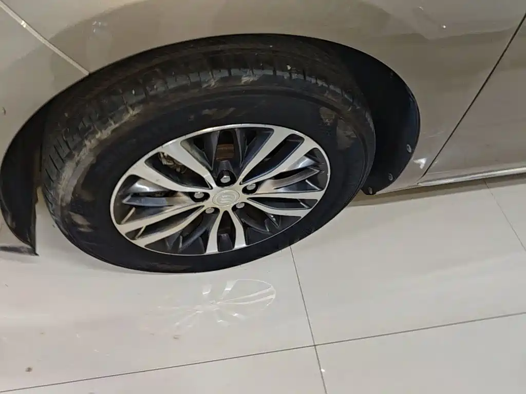 Buick GL8 — миниатюра 23
