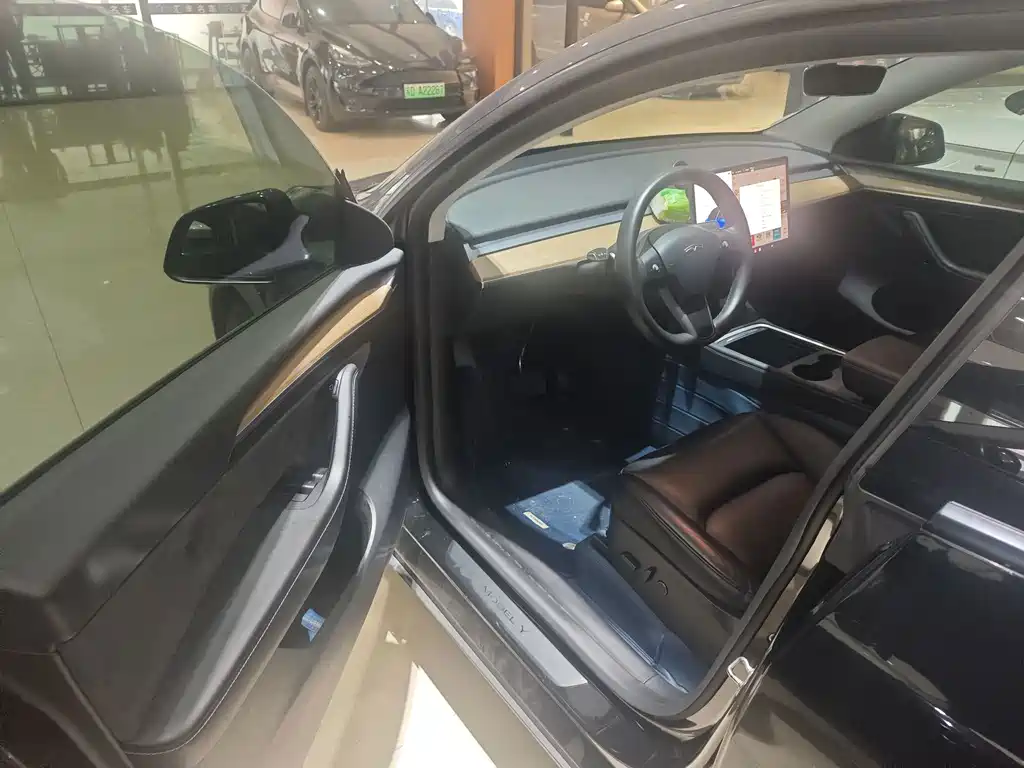 Tesla Model Y — миниатюра 8