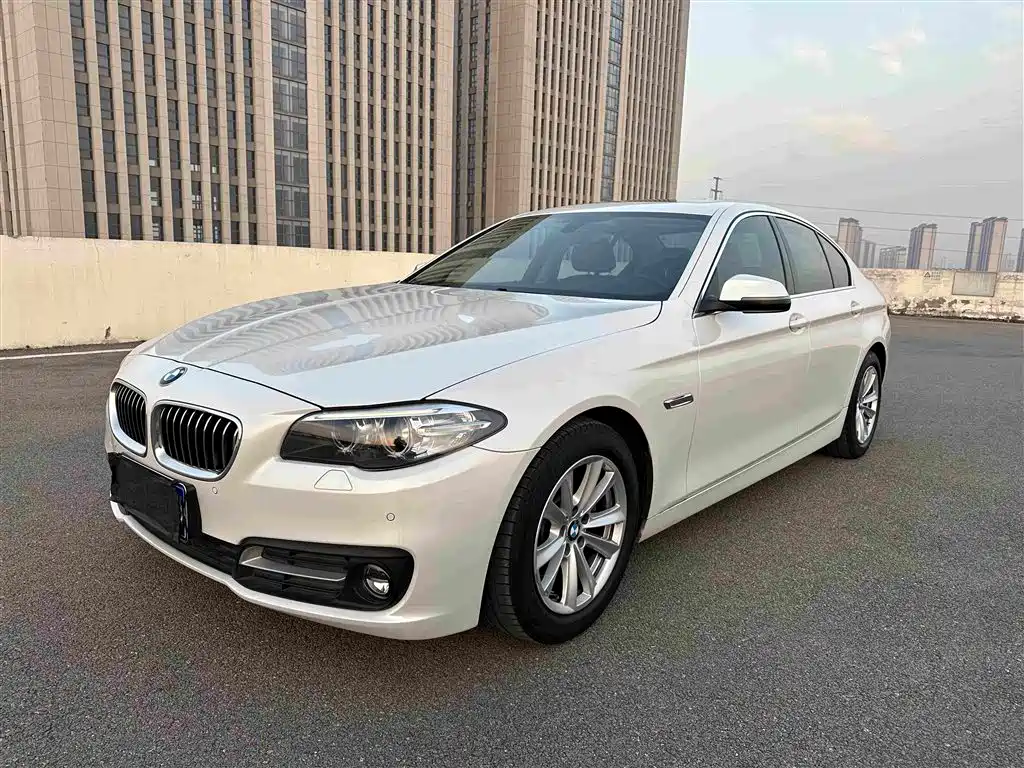 BMW 5 Series (Import) — миниатюра 2