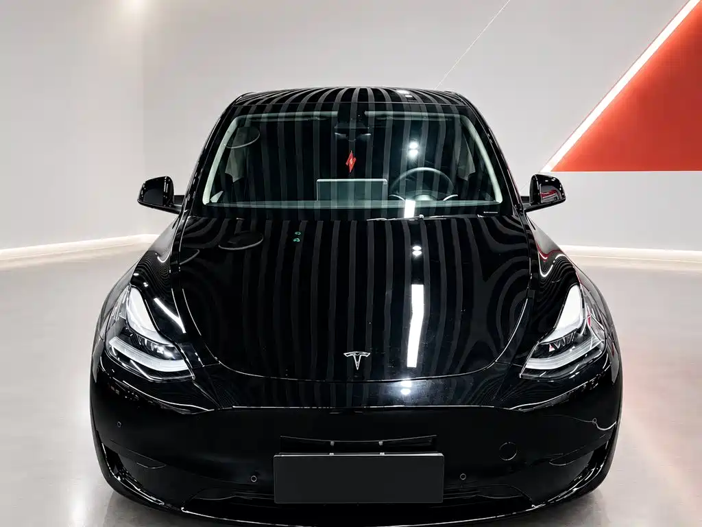 Tesla Model Y — миниатюра 2