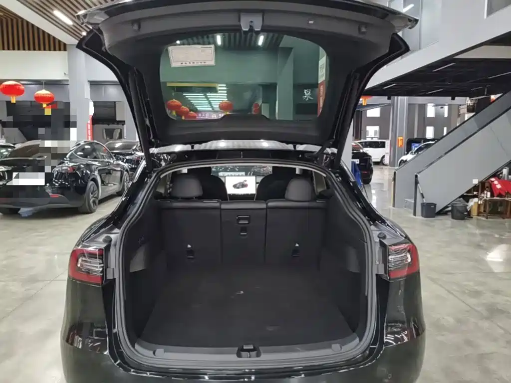 Tesla Model Y — миниатюра 19