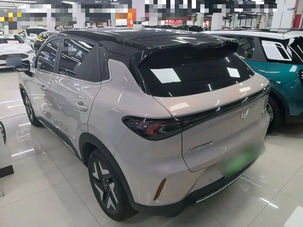 Wuling BinguoS S 2025 430km Flagship