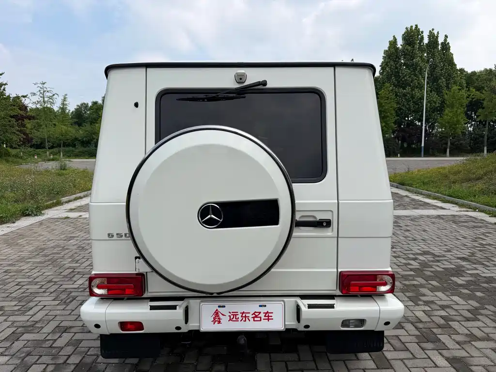 Mercedes-Benz G-Class G 2010 G 500