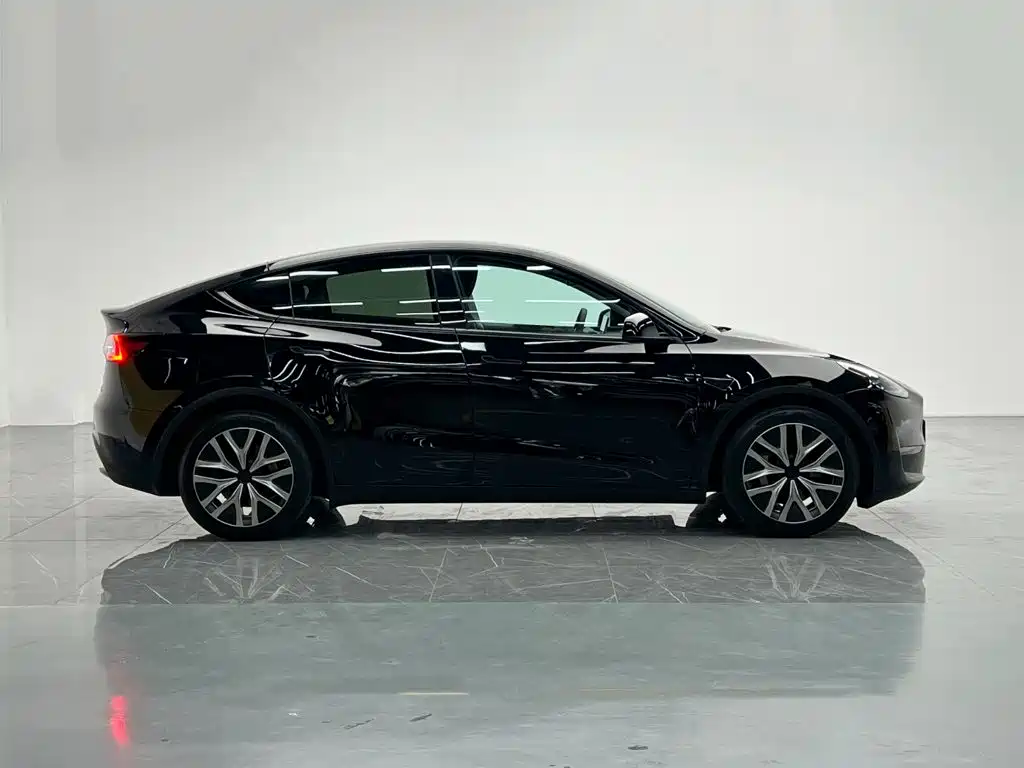 Tesla Model Y — миниатюра 7