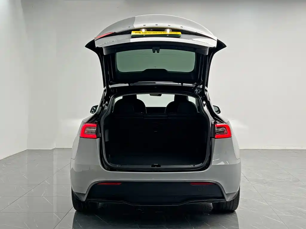 Tesla Model Y — миниатюра 10