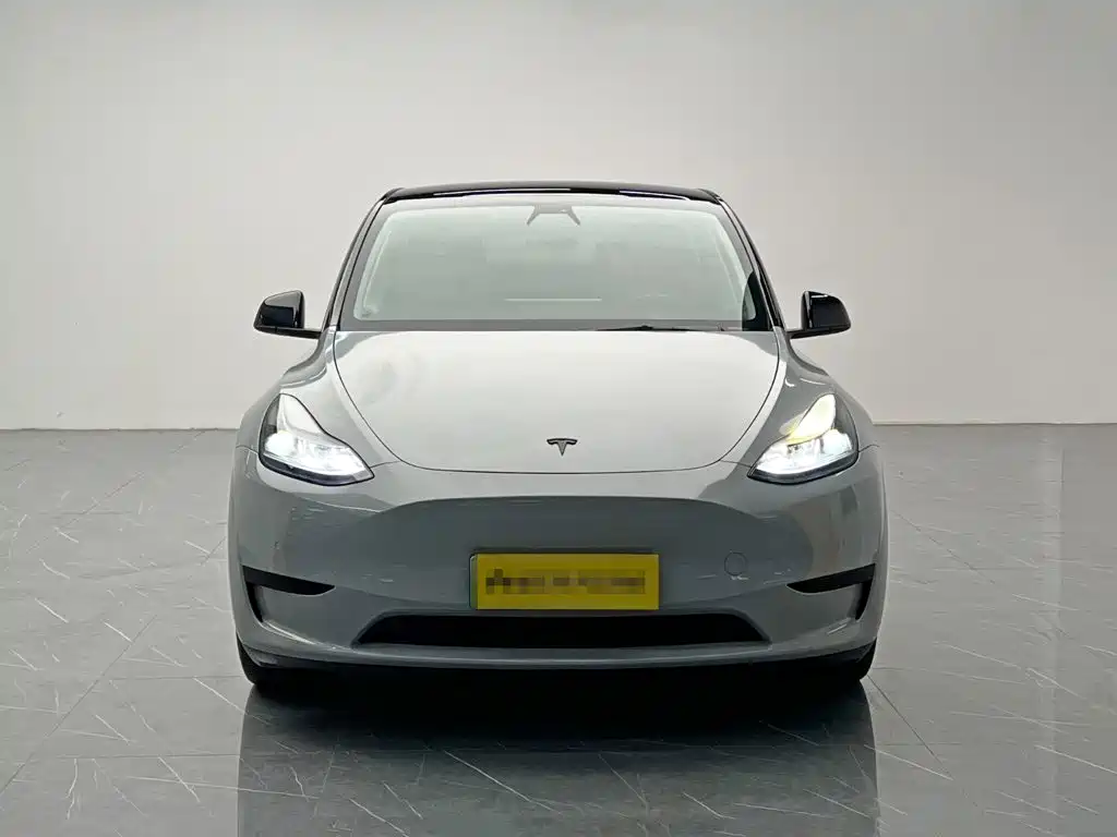Tesla Model Y — миниатюра 2