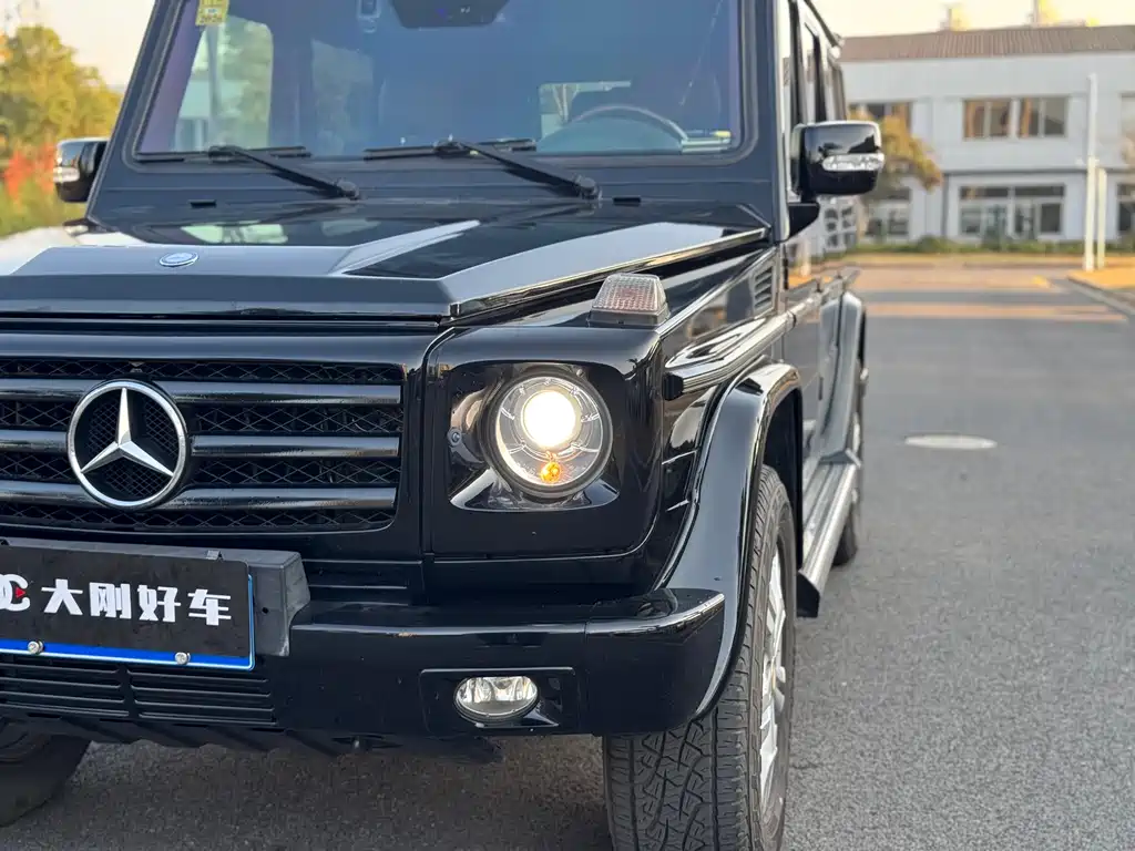 Mercedes-Benz G-Class G 2010 G 500