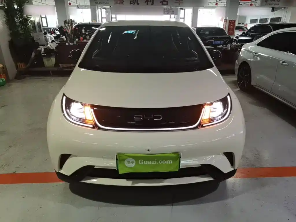 BYD Dolphin — миниатюра 3