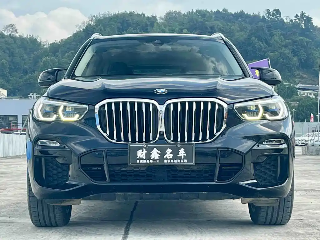 BMW X5 (Import) — миниатюра 2