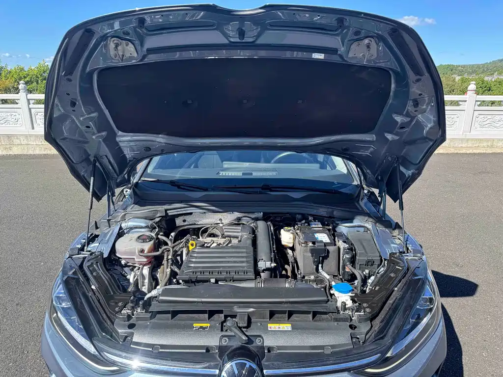 Volkswagen Lamando — миниатюра 20