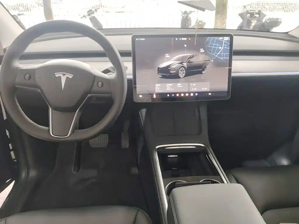 Tesla Model Y — миниатюра 10