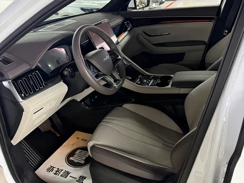 BYD PLUS New Energy — миниатюра 10