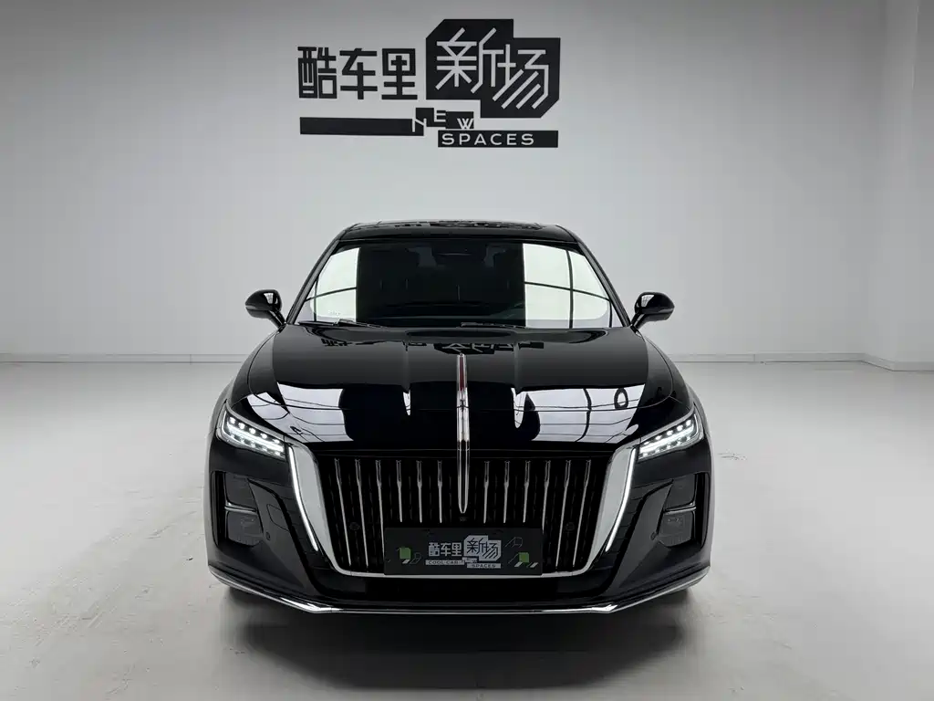Hongqi H5 2024 2.0T AT