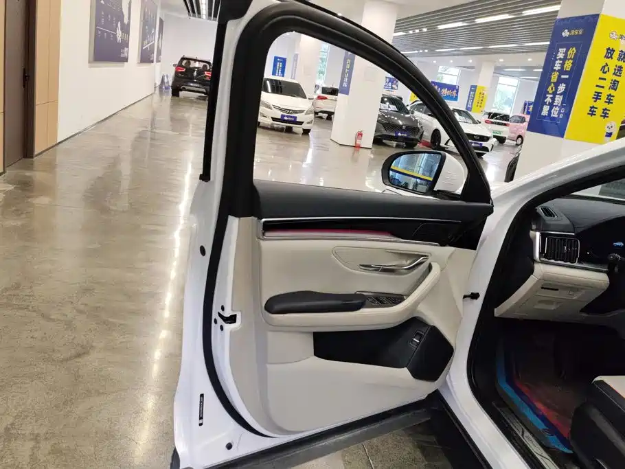 BYD PLUS New Energy — миниатюра 7