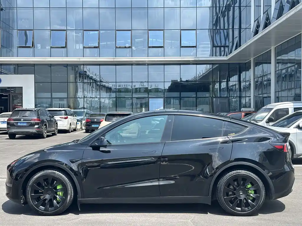 Tesla Model Y — миниатюра 3