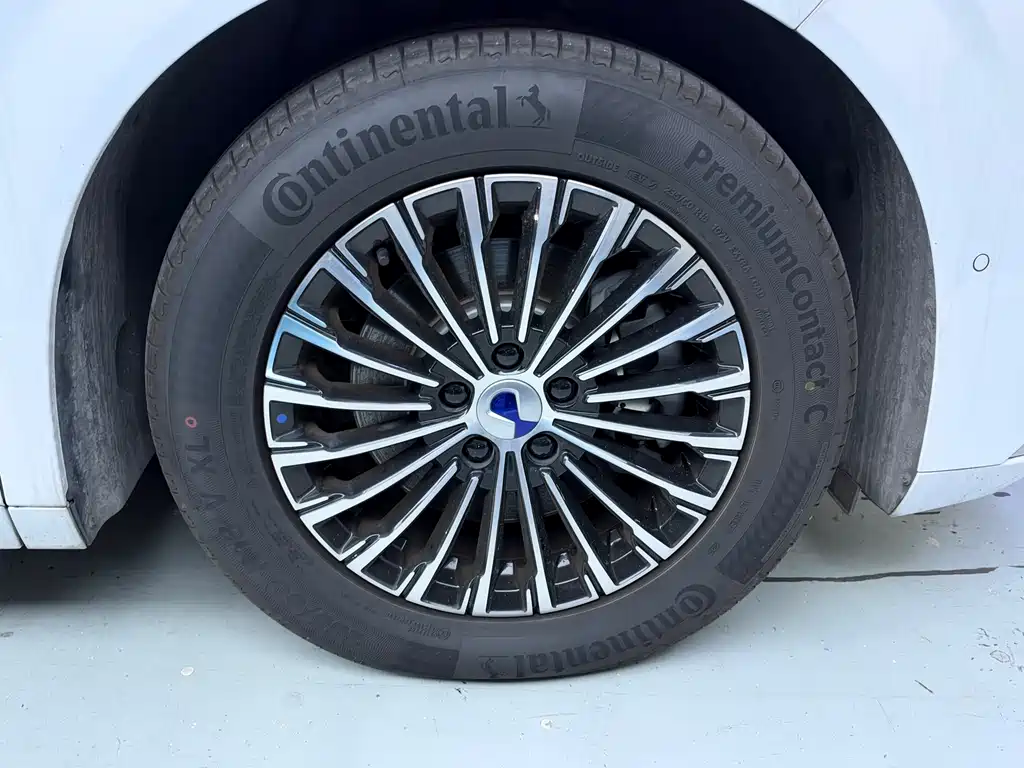 Denza Denza D9 — миниатюра 13