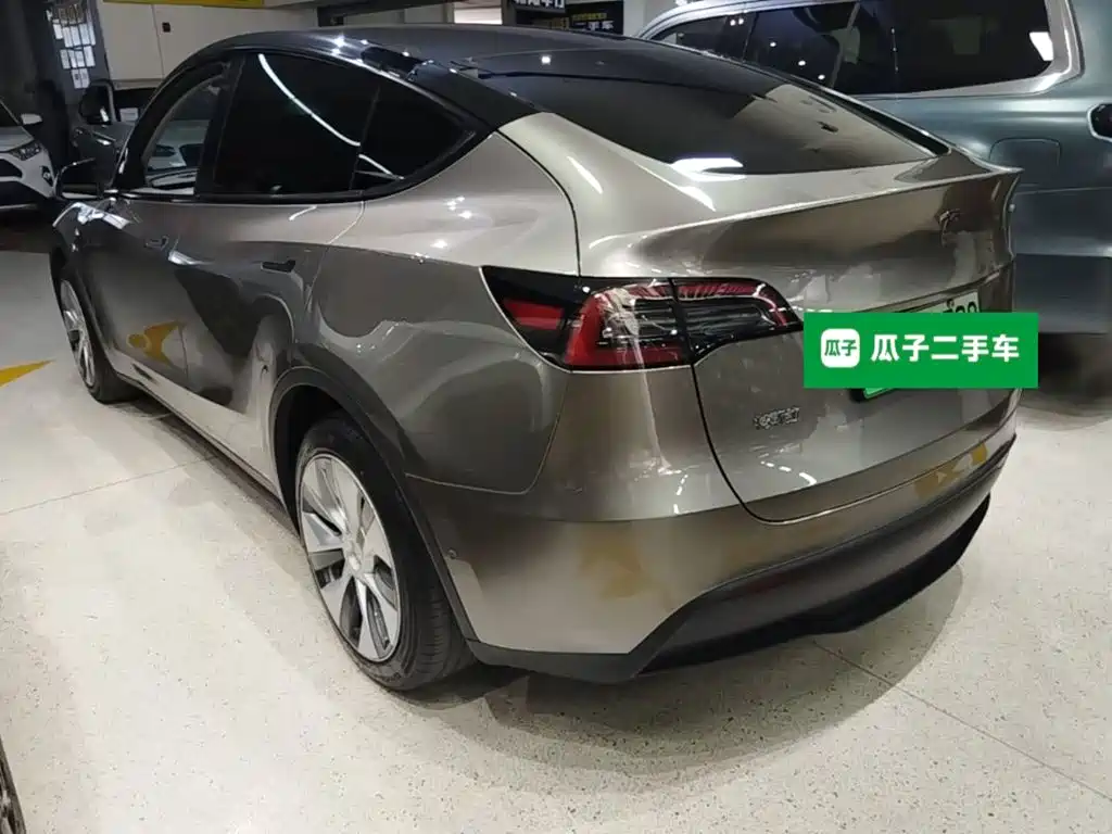 Tesla Model Y — миниатюра 5