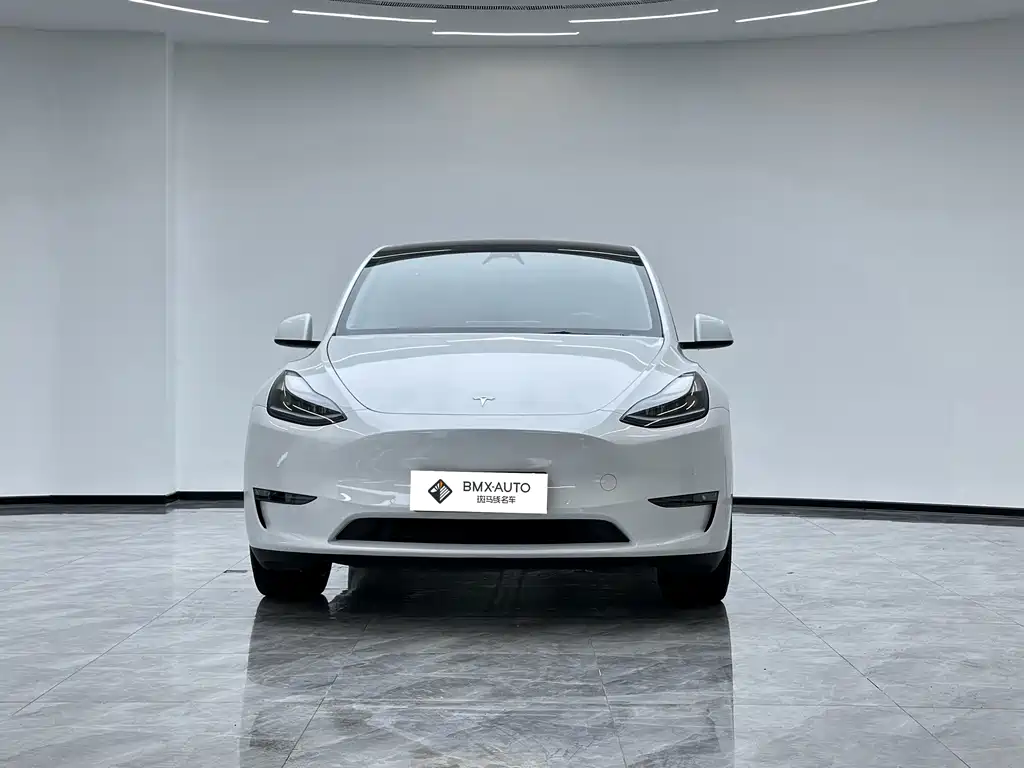 Tesla Model Y — миниатюра 2