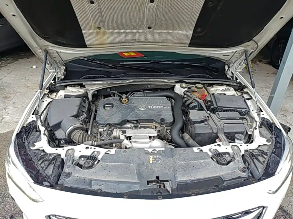 Buick Regal — миниатюра 20