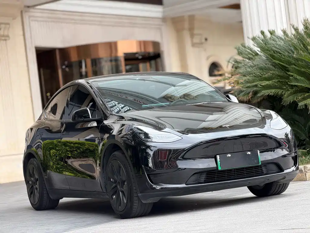 Tesla Model Y — миниатюра 3
