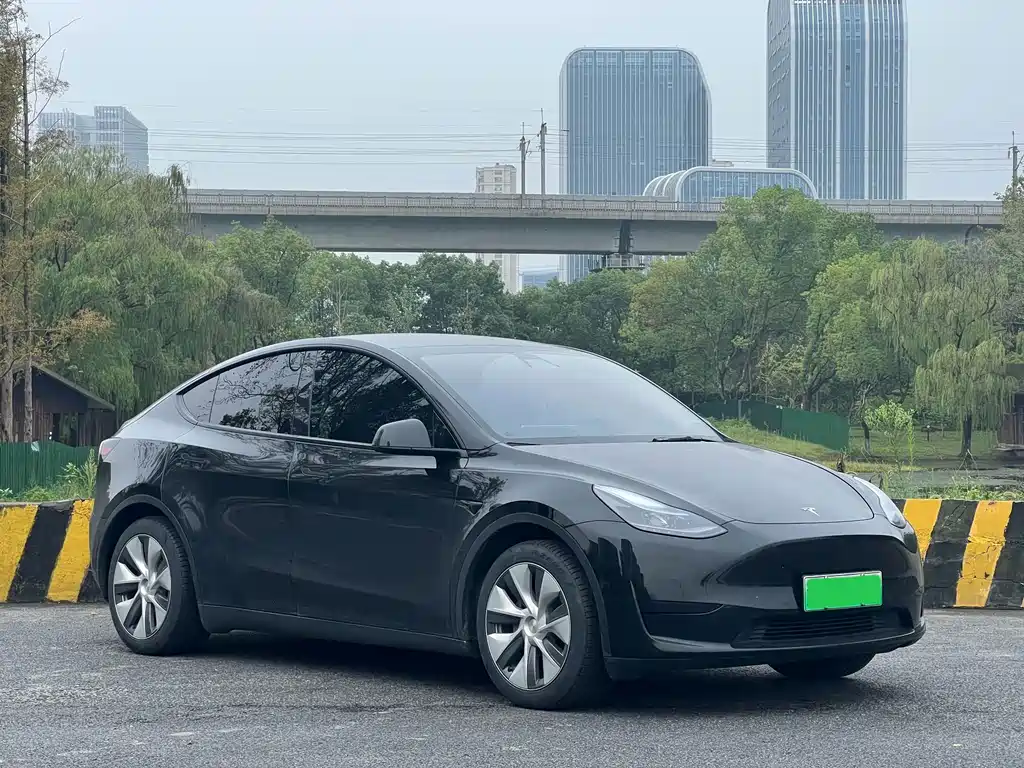Tesla Model Y — миниатюра 3