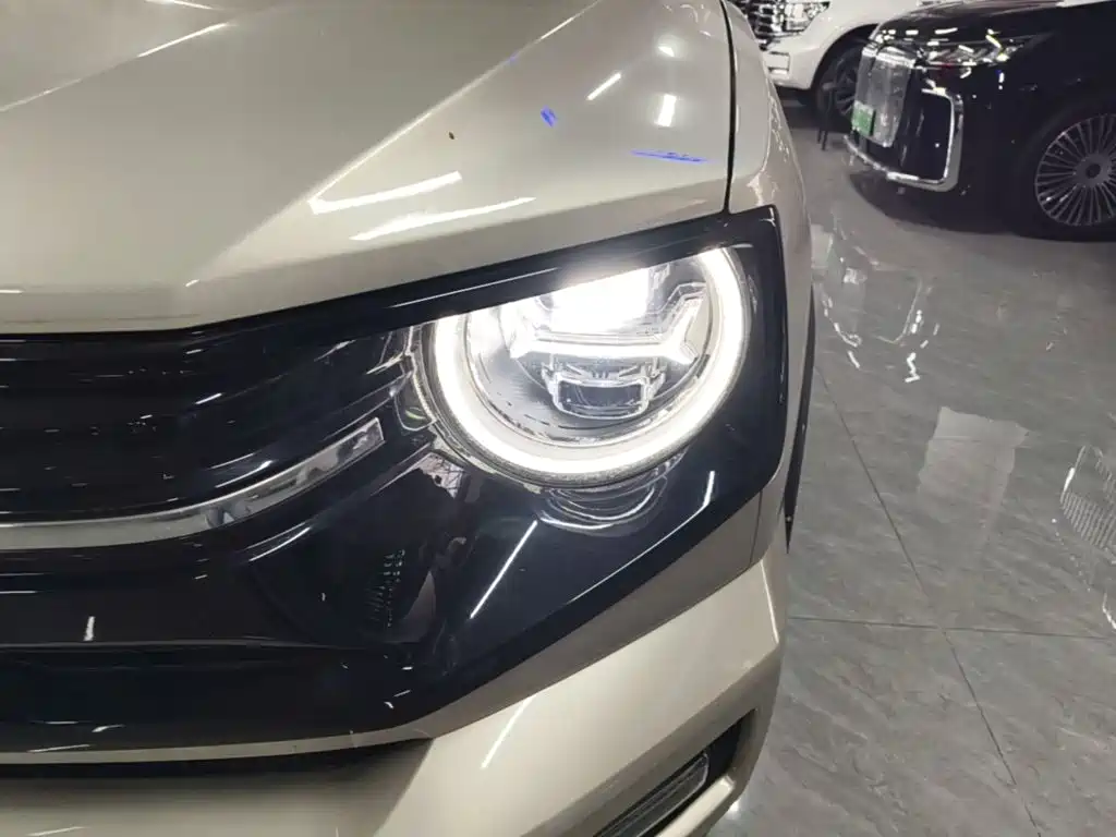 Haval Big Dog PLUS — миниатюра 24