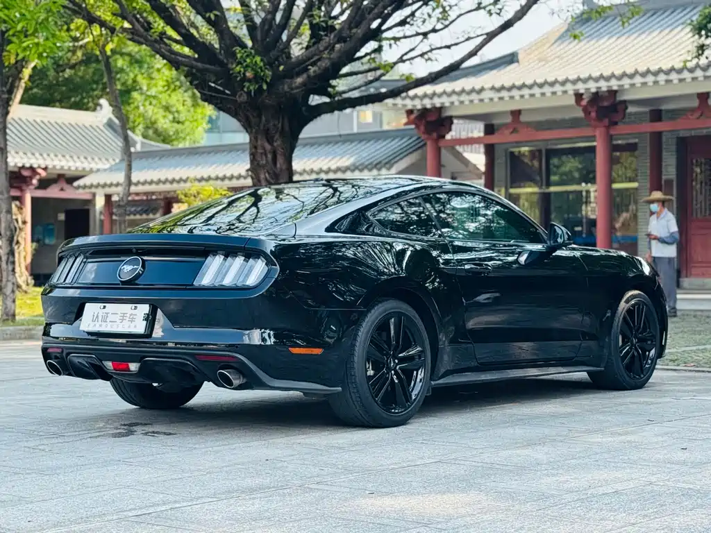 Ford Mustang — миниатюра 26
