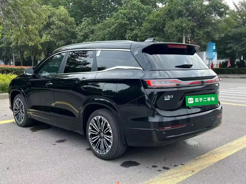 Shanhai Shanhai L9 — миниатюра 5
