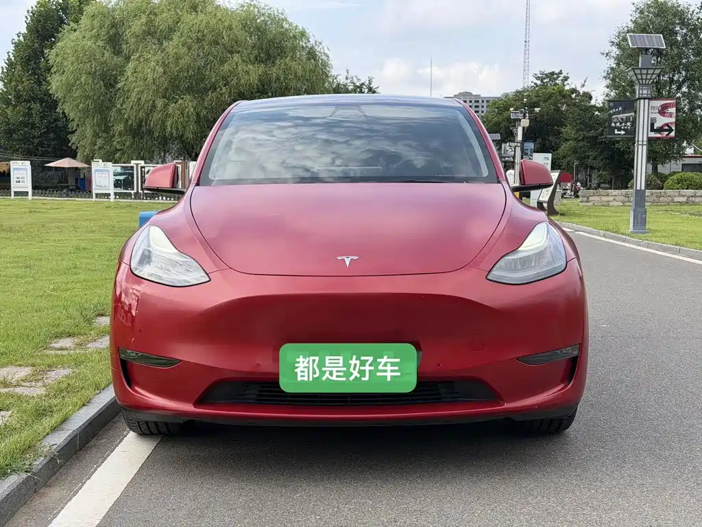 Tesla Model Y — миниатюра 2