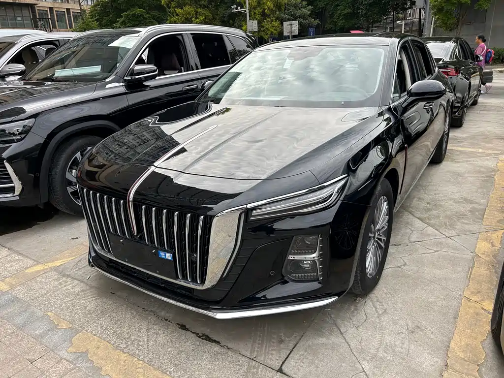 Hongqi Hongqi H5 2024
