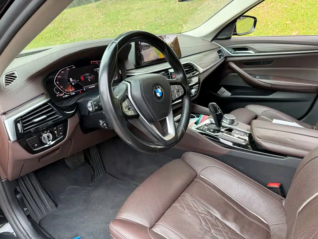 BMW 5 Series 5 2020 530Li Premium Luxury