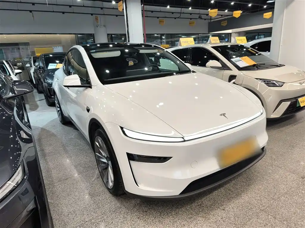 Tesla Model Y - фото 22