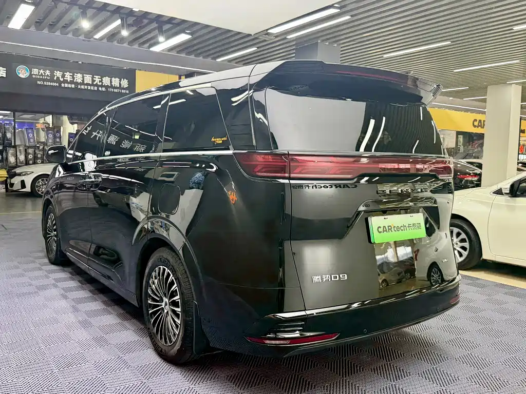 Denza Denza D9 — миниатюра 13