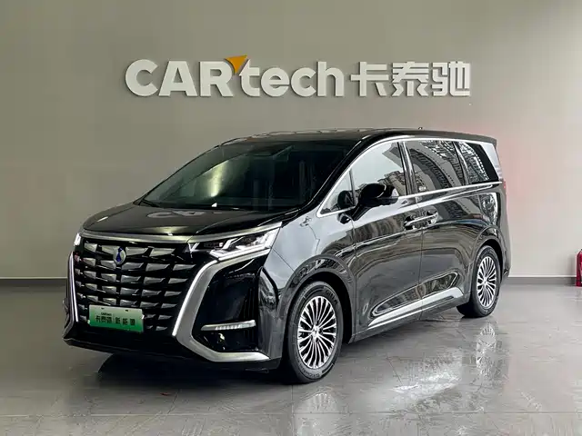 2023 Denza D9