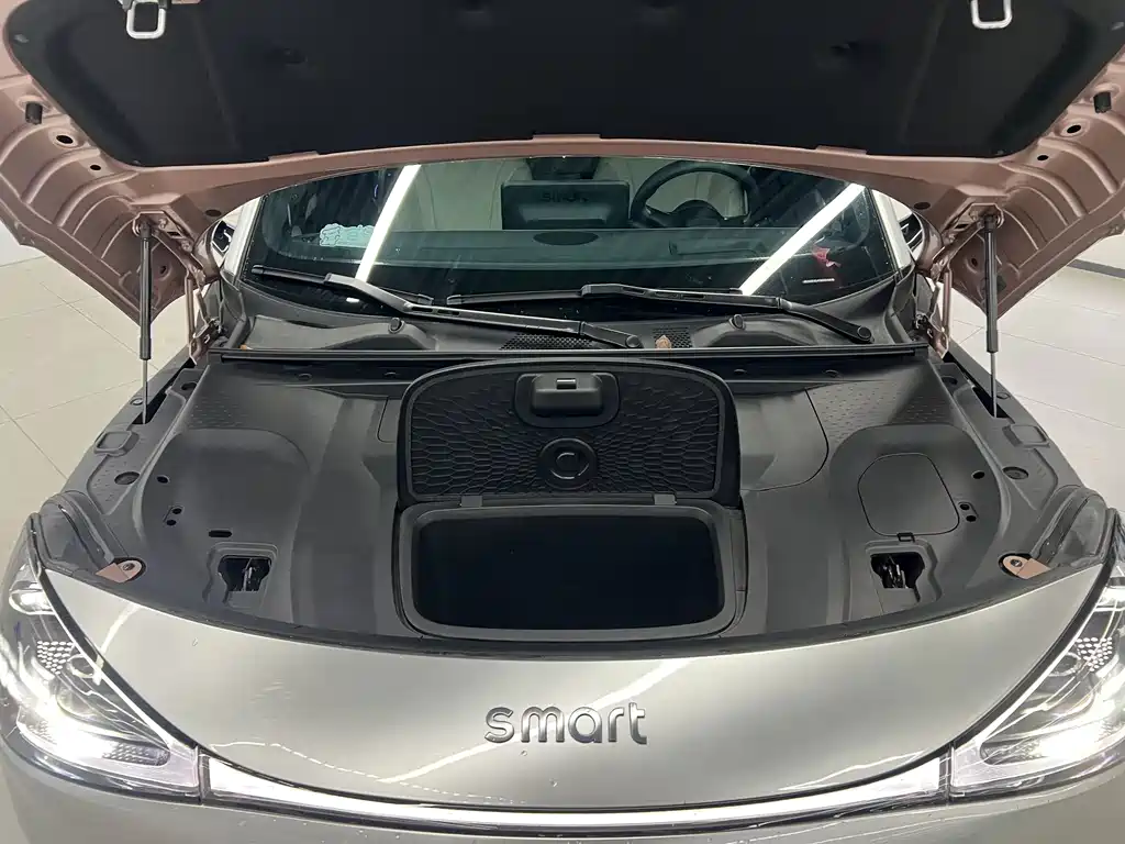 smart Smart #1 — миниатюра 3
