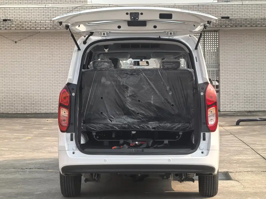 WULING WULING HONGGUANG NEW ENERGY