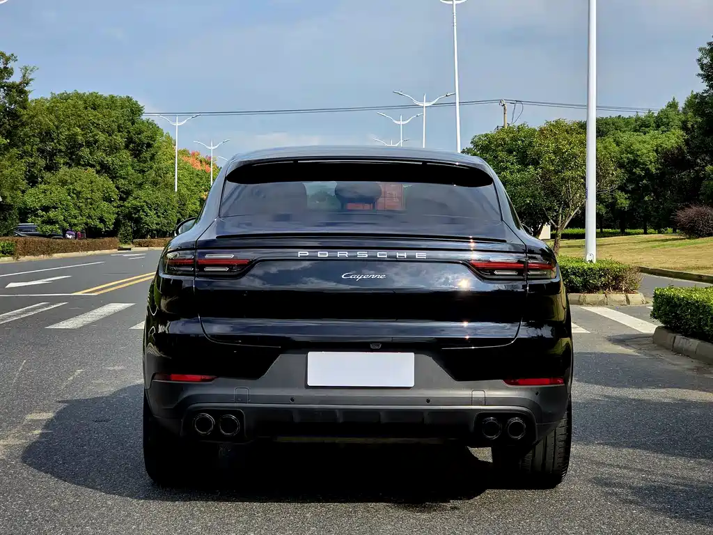 Porsche Cayenne 2022 — фото 13