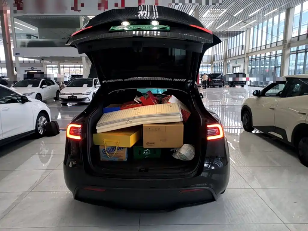 Tesla Model Y — миниатюра 19